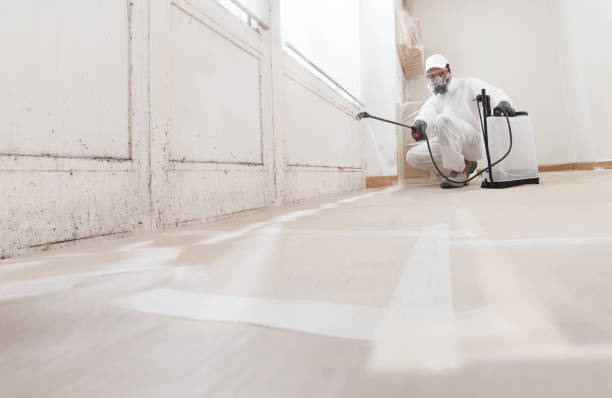 24/7 Emergency Mold Remediation experts in Lisle, IL