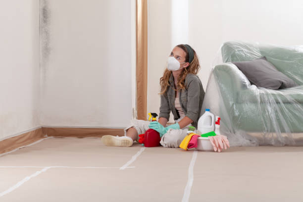 Reliable Mold Remediation contractor in Lisle, IL by WQB Mold Removal